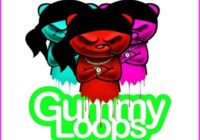 Empire SoundKits Gummy Loops Vol.2 WAV MIDI