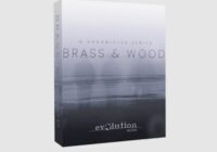 Evolution Series Chronicles: Brass & Wood v1.0 KONTAKT