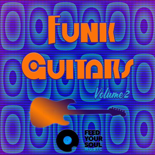 Feed Your Soul Music Funk Guitars Vol. 2 WAV