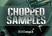 HexLoops Sampling 800 Chopped Samples WAV