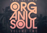 Looptone Lack Of Afro Presents Organic Soul Vol. 2 WAV
