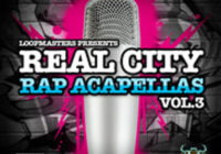 Monster Sounds Real City Rap Acapellas Vol.3 MULTIFORMAT