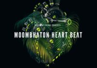 Moombahton Heart Beat By Basement Freaks WAV