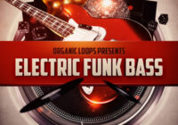 Organic Loops Electric Funk Bass WAV