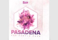 Slate Digital PASADENA POP Sample Pack WAV