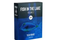 Preset Biz – Fish in the Lake Vol. 2 – Fisher, Chris Lake, Sofi Tukker & more WAV MIDI FXP