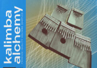 RARE Percussion Kalimba Alchemy Vol. 4 WAV