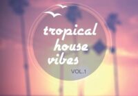 Roundel Sounds Tropical House Vibes Vol.1 WAV MIDI