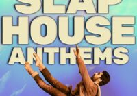 Slap House Anthems WAV MIDI FXP