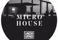 Undrgrnd Sounds Micro House WAV