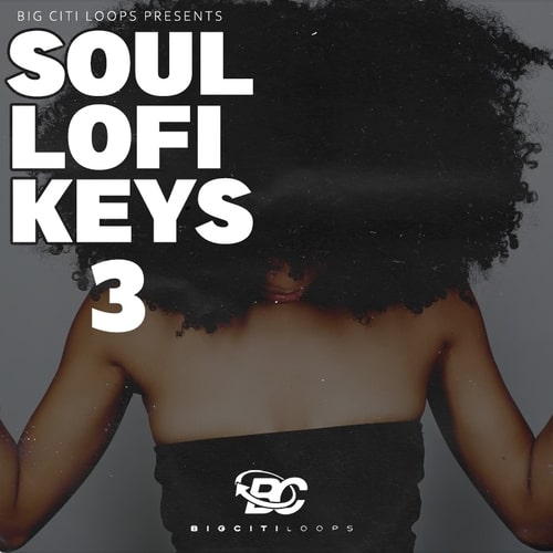 Big Citi Loops Soul Lofi Keys 3 WAV