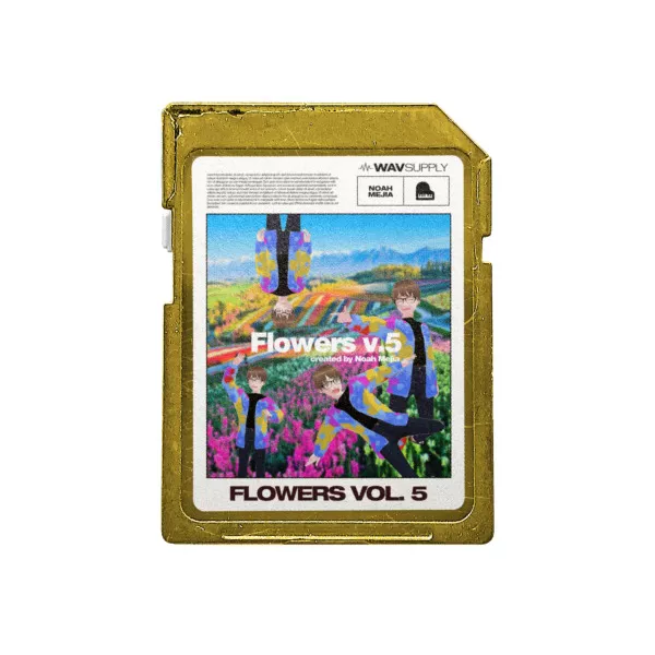 WavSupply Noah Mejia Flowers Vol. 5 (One Shot Kit) WAV