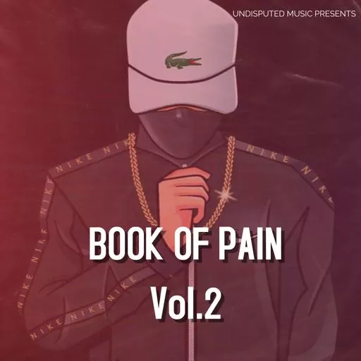 Loops 4 Producers Book Of Pain Vol.2 WAV