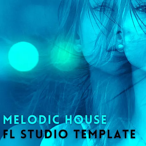 Amir Farhoodi Melodic House Vol.2 WAV FLP