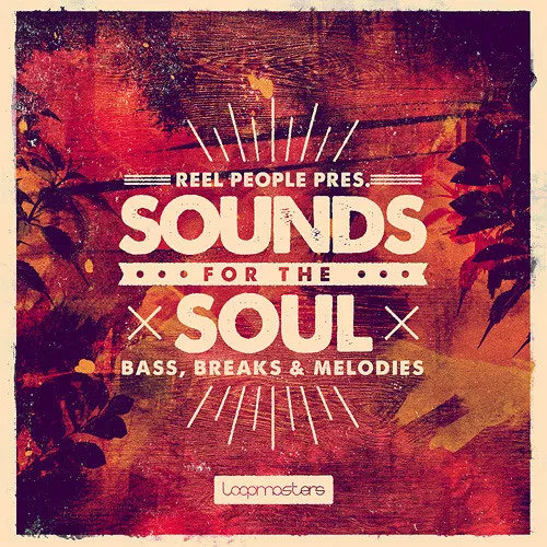 Reel People Presents Sounds For The Soul Vol.1 MULTIFORMAT