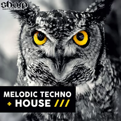SHARP Melodic Techno & House WAV MIDI
