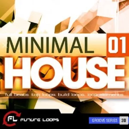 Future Loops Minimal House 01 WAV