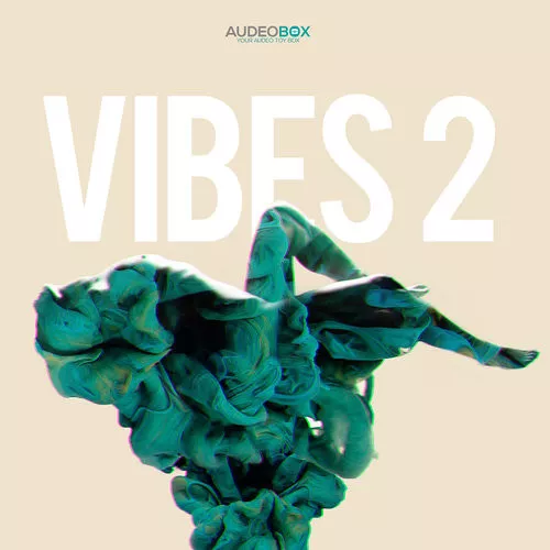 AudeoBox Vibes Vol.2 WAV MIDI FXP NMSV