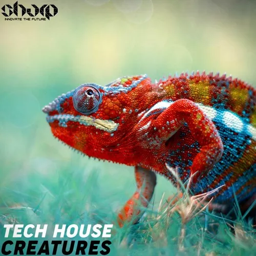 SHARP Tech House Creatures WAV