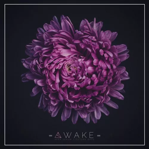 Unmute AWAKE WAV MIDI FXP