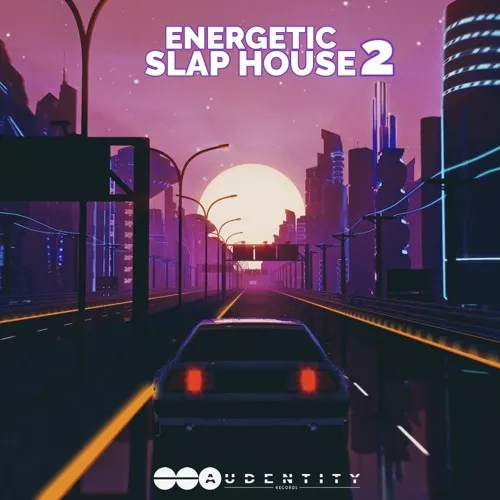 Audentity Records Energetic Slap House 2 [WAV MIDI FXP]