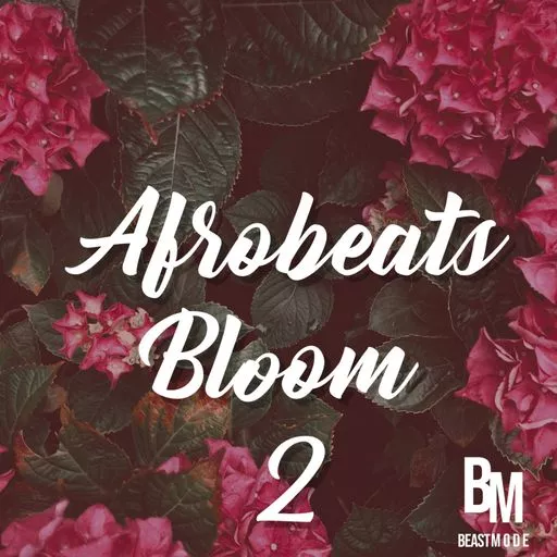 HOOKSHOW Afrobeats Bloom 2 WAV