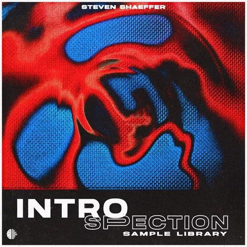 Steven Shaeffer INTROSPECTION (Sample Library) WAV