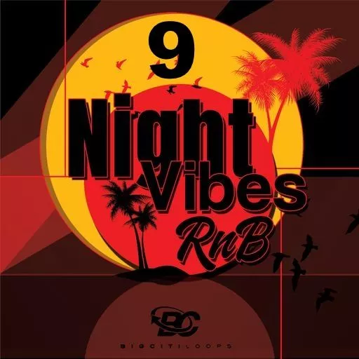 Big Citi Loops Night Vibes RnB 9 WAV