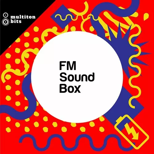 Multiton Bits FM Sound Box WAV