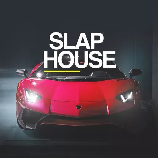 Whitenoise Records Slap House WAV