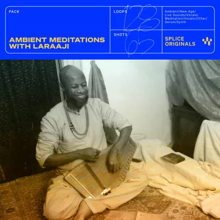 Ambient Meditations with Laraaji [WAV MIDI FXP]