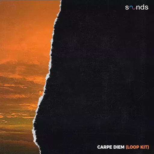 Canary Julz Carpe Diem (Loop Kit) [WAV]