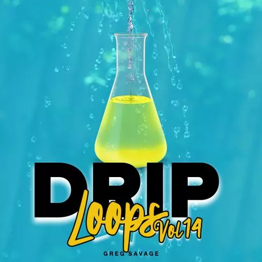 DiyMusicBiz Drip Loops Vol.14 WAV