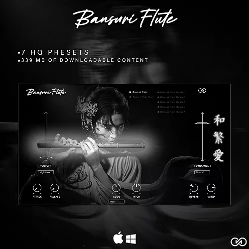 Infinite Audio Bansuri Flute WIN