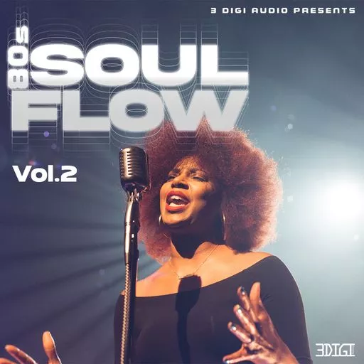 Innovative Samples 80's Soul Flow Vol.2 WAV