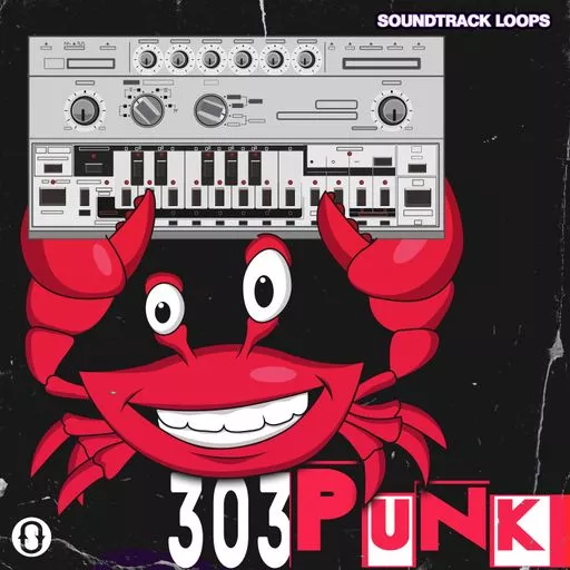 Soundtrack Loops 303 Punk WAV