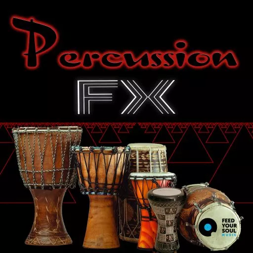 Feed Your Soul Music Percussion Fx WAV