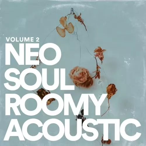 Jake Fine Neo Soul Guitar Sauce Vol.2 Roomy Acoustic WAV