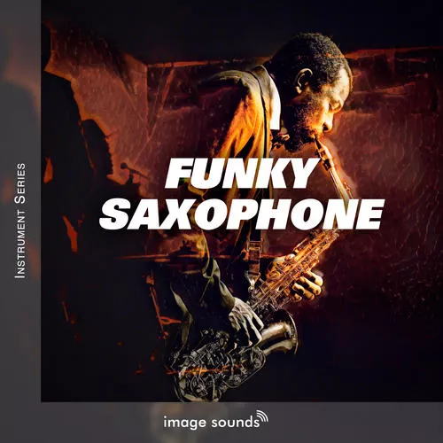 Steinberg Image Sounds Funky Saxophone [VSTSOUND]