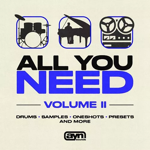 AYN Sounds All You Need Vol. II [WAV MIDI Analog Lab V bank]