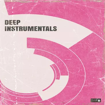 BFractal Music Deep Instrumentals WAV