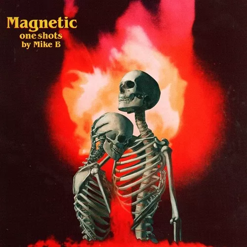 Mike B Magnetic (One Shot Library) [WAV]