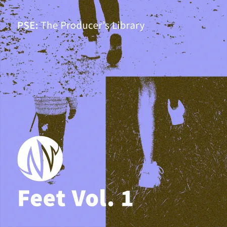 PSE: The Producers Library Feet Vol.1 WAV