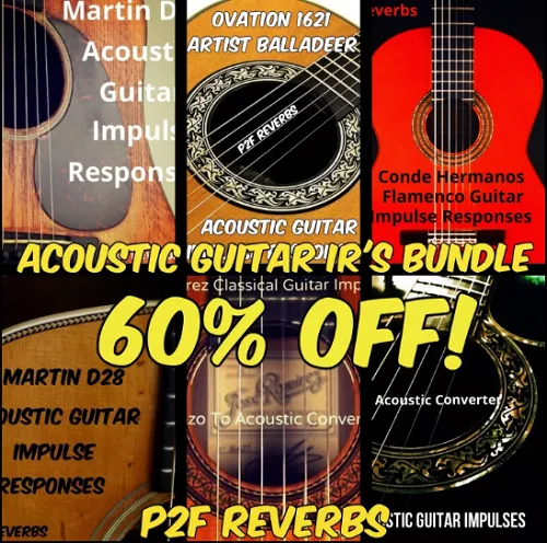 PastToFutureReverbs Acoustic Guitar IR's BUNDLE! WAV