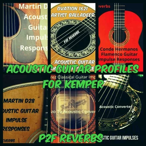 PastToFutureReverbs Acoustic Guitar Profiles for Kemper!