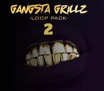 Big Citi Loops Gangsta Grillz 2 Kit Version WAV