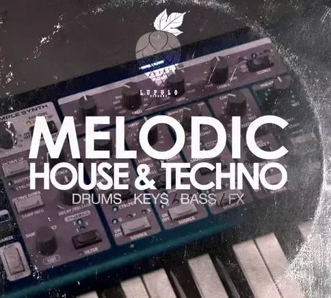 Dirty Music Melodic House & Techno WAV