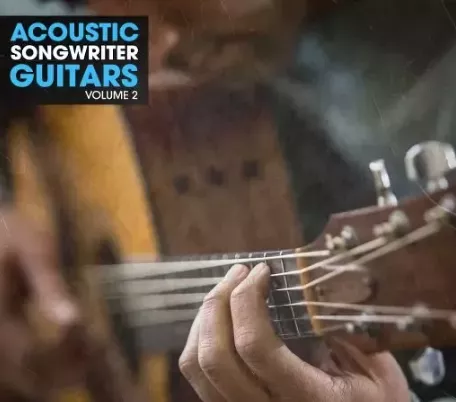 New Beard Media Acoustic Songwriter Guitars Vol.2 WAV