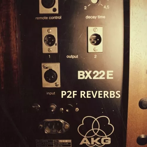 PastToFutureReverbs AKG BX22E Spring Reverb! WAV