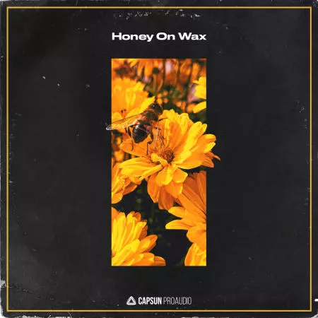Capsun ProAudio Honey On Wax WAV